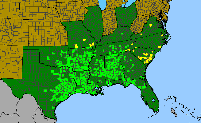 The range of Carex cherokeensis